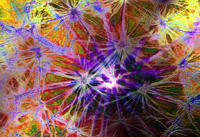 Loading Image